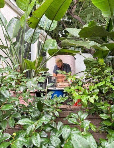 Alessio di Giambattista throwing pottery outdoors, framed by lush garden foliage